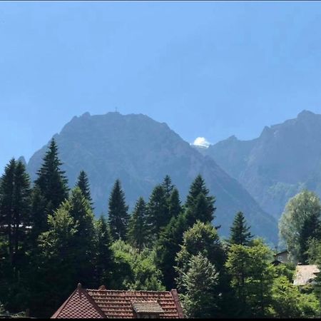 Pensiunea Sport Buşteni Exterior foto