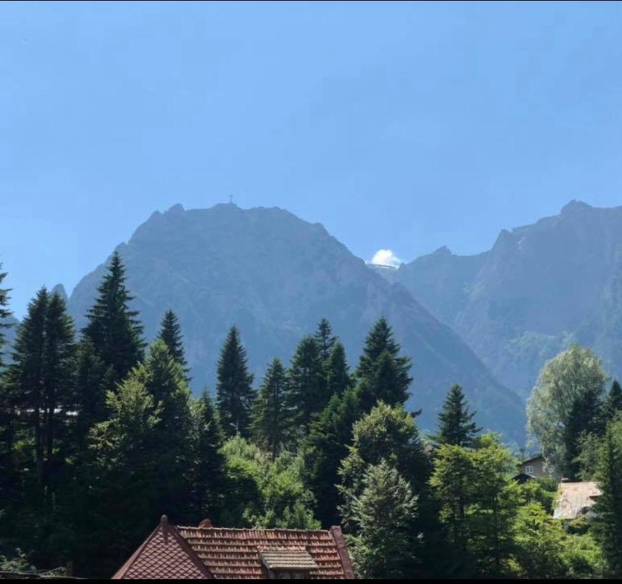 Pensiunea Sport Buşteni Exterior foto
